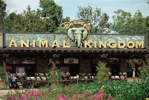 animal kingdom disney world theme park.